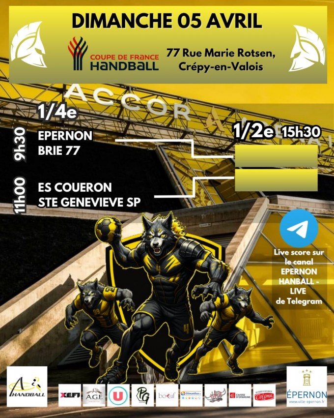 Quart de finale de Coupe de France Départementale de Handball