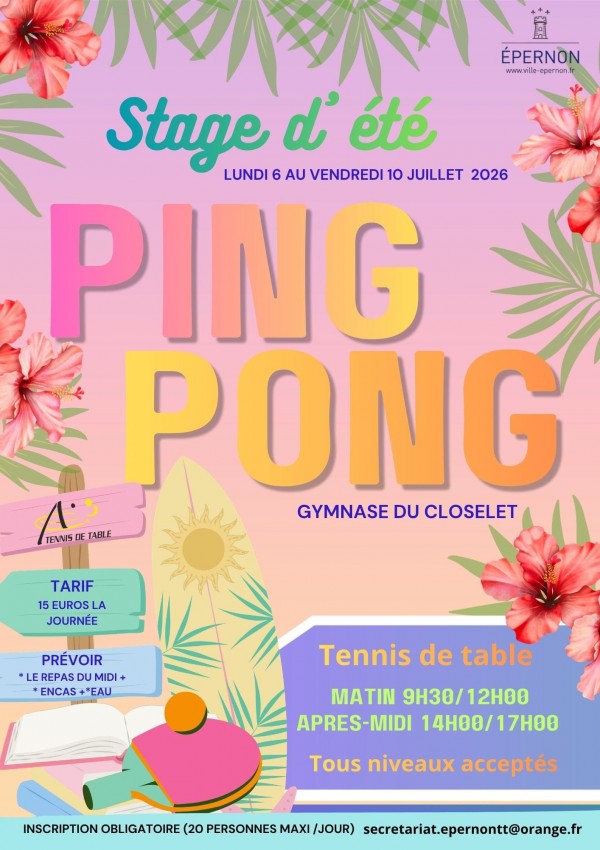 Stage Tennis de Table
