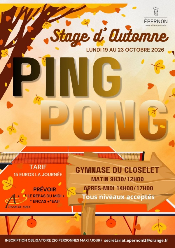 Stage Tennis de Table